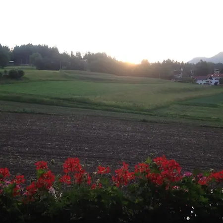 Peer 인스브루크