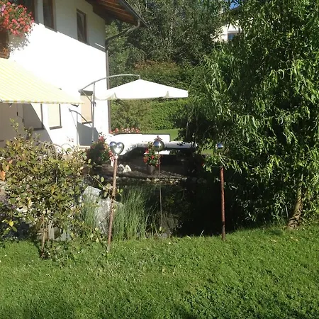 Peer * 인스브루크