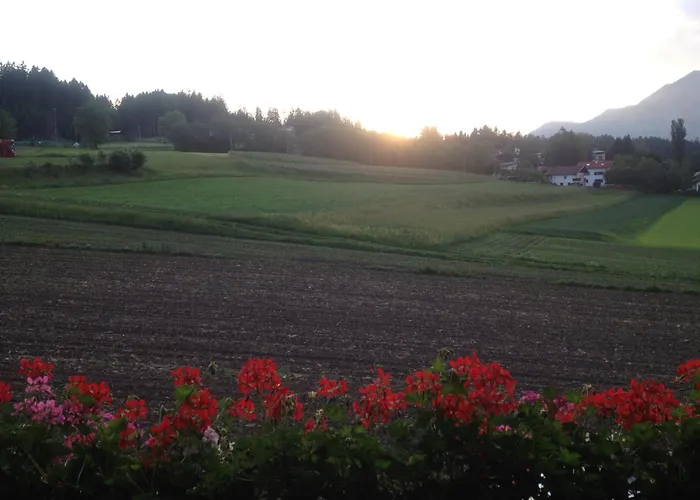 Peer インスブルック